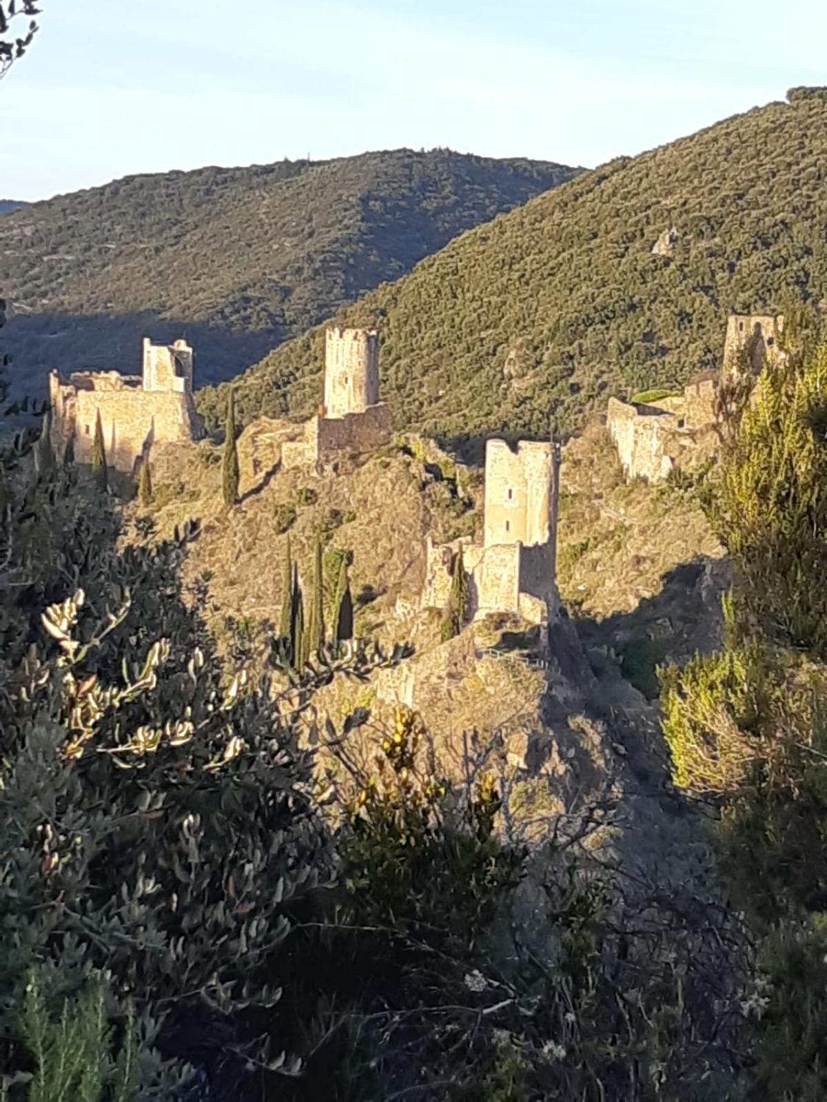 Maison Delmas, L'Oustal Du Recantu Sainte-Eulalie  Dış mekan fotoğraf